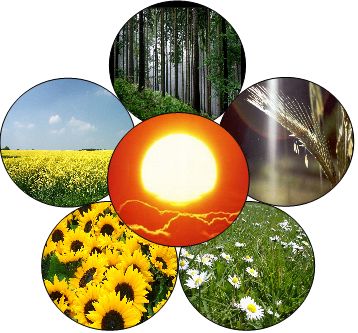 Bild "Bioenergie.jpg"